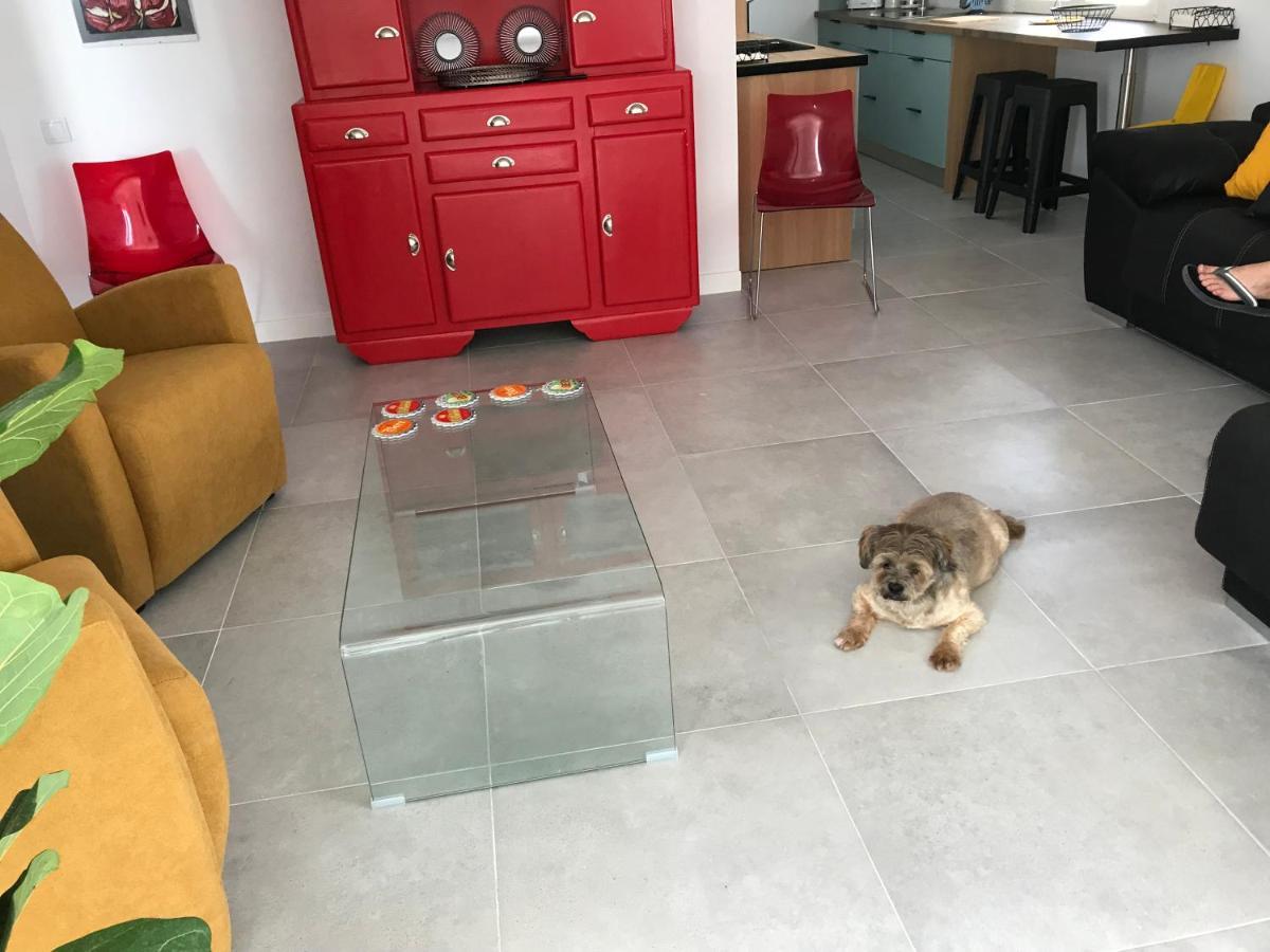 올리벨라 Campagne Luxueuse De Sitges 빌라 외부 사진